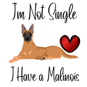 Im not single i have a malinois