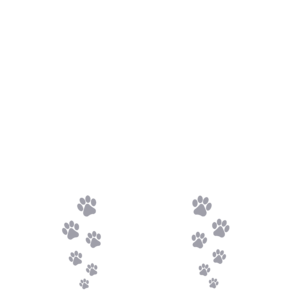 Dog mother wine lover